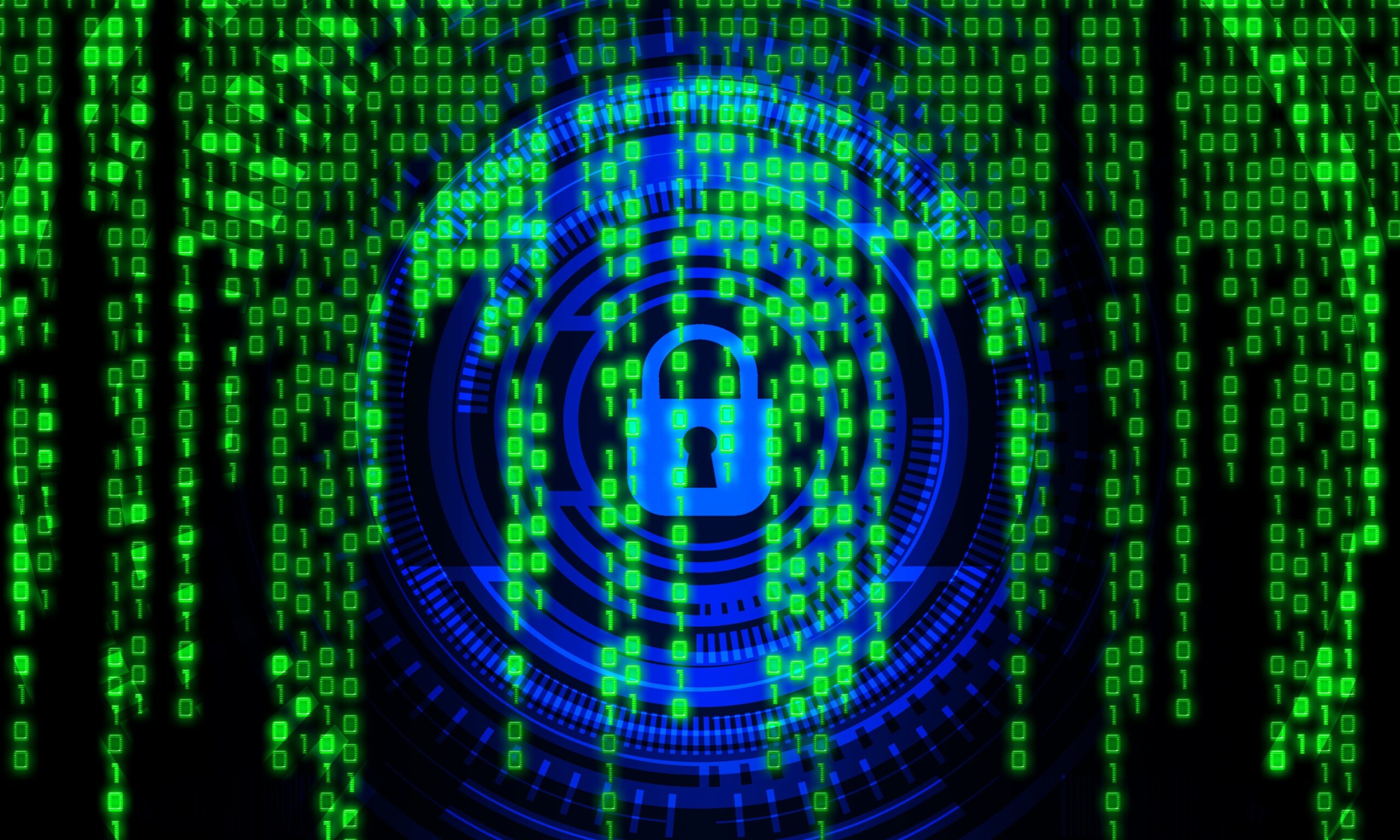 Patching & Vulnerability Management